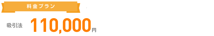 剪除法 110.000円