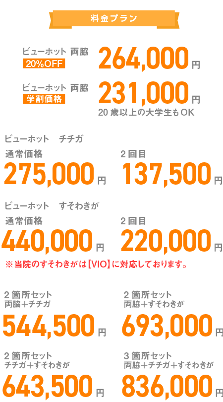 ビューホット 両脇264,000円